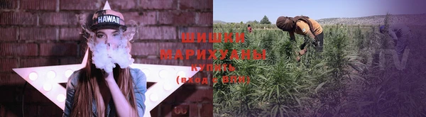 прущая мука Богданович