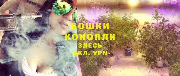 хмурый Богородицк