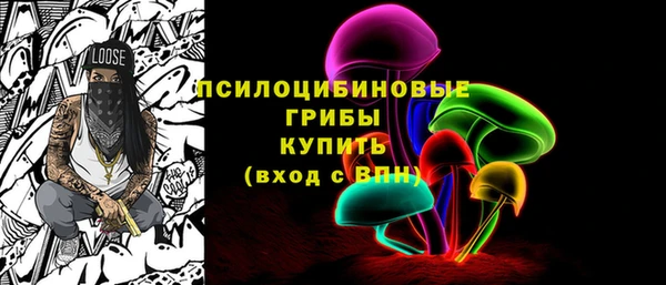 хмурый Богородск